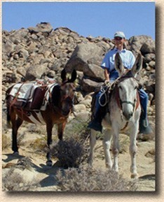 Roberta riding Jubal and leading Emmy ~ Joshua Tree, Ca